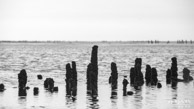 Noordkaap @ Eemshaven | 200 mm | 1/200 sec. bij f / 8,0 | ISO 100 | 