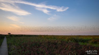 Kiekkaaste @ Nieuw Statenzijl|28 mm|1/4000 sec. bij f / 4,0|ISO 1600|