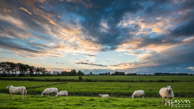 Vee @ Nansum|16 mm|1/25 sec. bij f / 16|ISO 100|