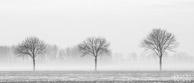 Platteland @ Groningen | 200 mm | 1,3 sec. bij f / 20 | ISO 100 | 