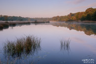 Kootwijkerveen @ Nieuw Milligen | 35 mm | 1/4 sec. bij f / 16 | ISO 100 | Rick Goede
