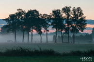 Ochtendglorie @ Rekken, Achterhoek|82 mm|8,0 sec. bij f / 16|ISO 200|RGoede