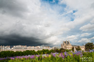Tuileries Garden @ Parijs|16 mm|1/640 sec. bij f / 8,0|ISO 200|RGoede